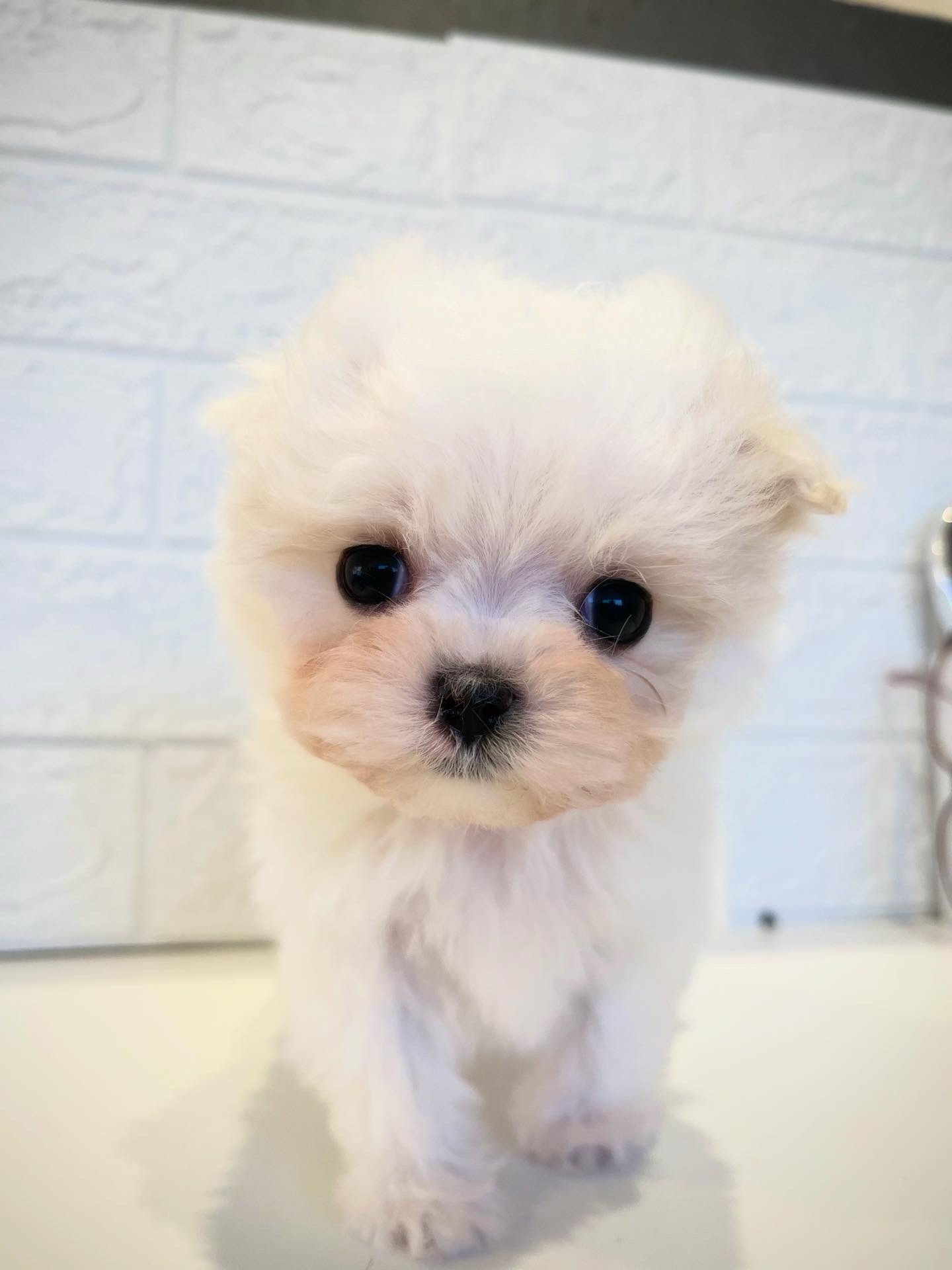 【2025年11月21日生まれ】リズっ子男の子いちくん♡