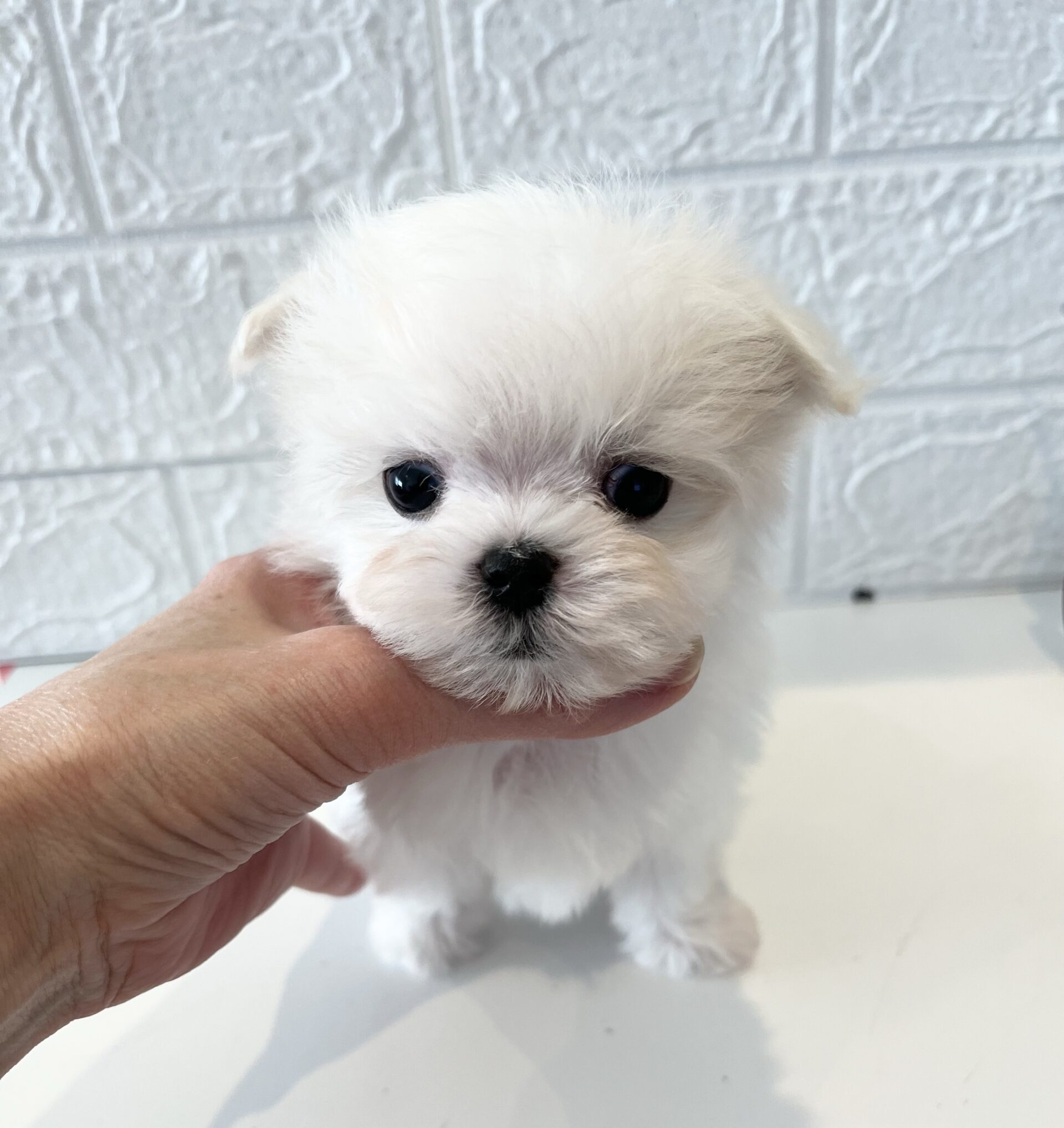 【2025年11月21日生まれ】リズっ子男の子さんくん♡