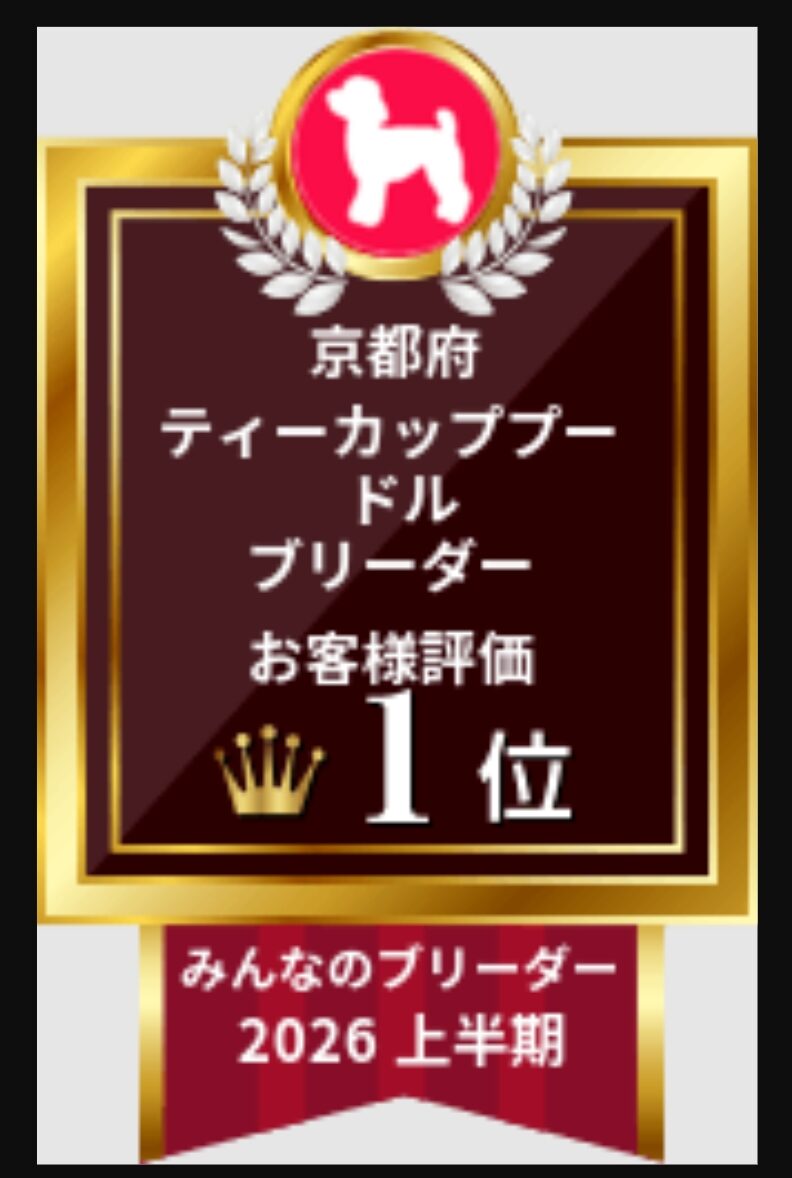 みんなのブリーダー、上半期受賞✨