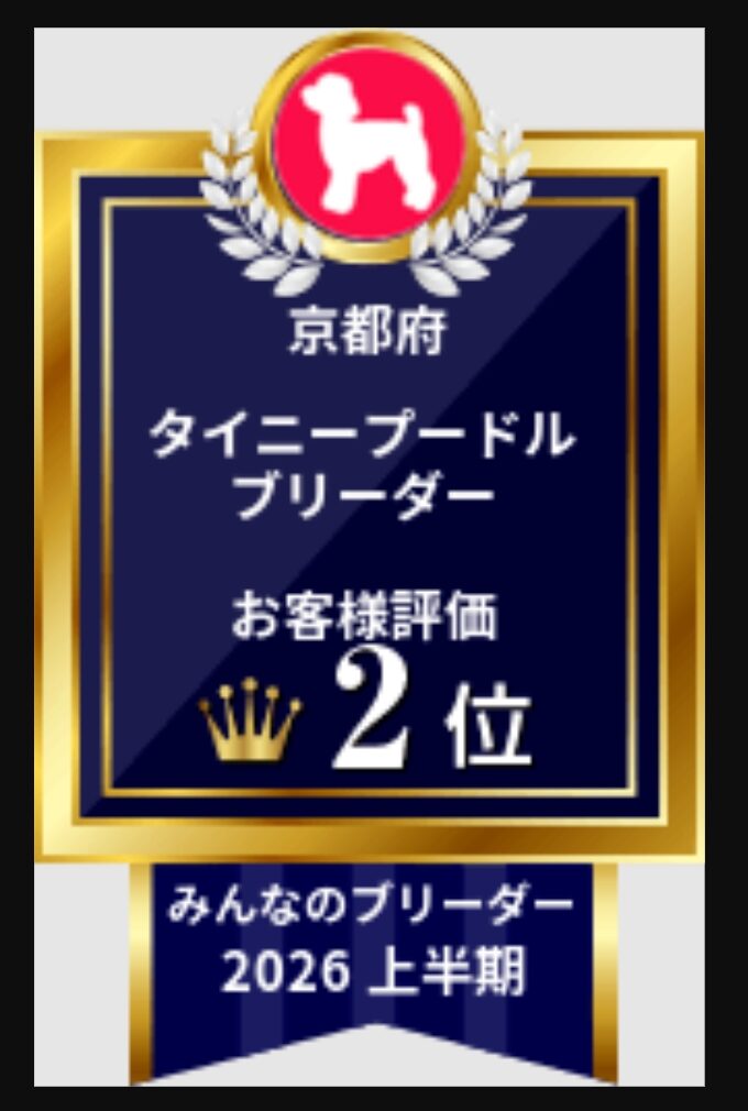 みんなのブリーダー、上半期受賞✨