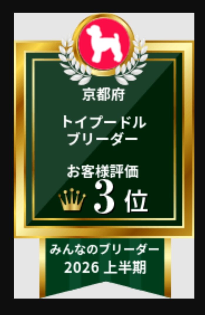 みんなのブリーダー、上半期受賞✨